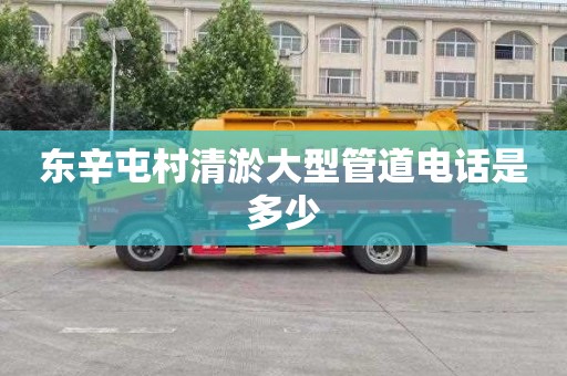东辛屯村清淤大型管道电话是多少
