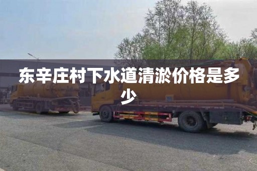 东辛庄村下水道清淤价格是多少