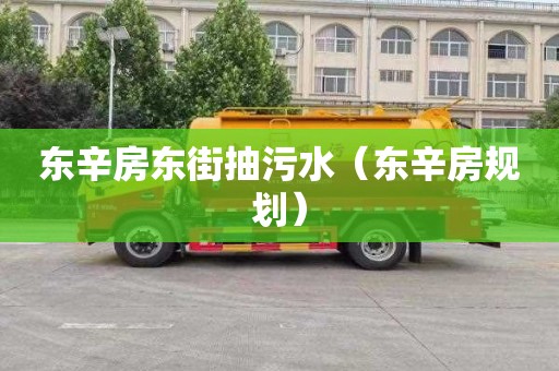 东辛房东街抽污水（东辛房规划）