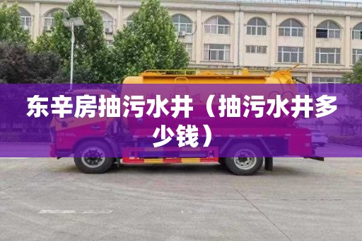 东辛房抽污水井（抽污水井多少钱）