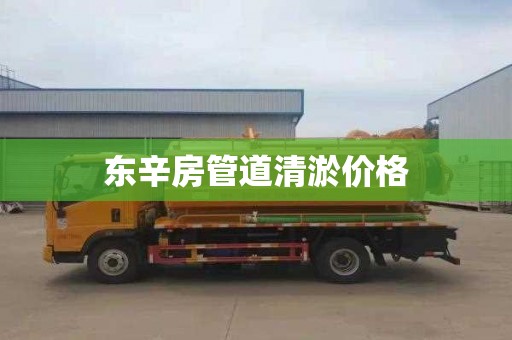东辛房管道清淤价格