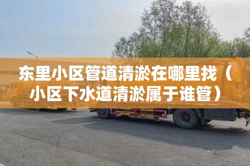 东里小区管道清淤在哪里找（小区下水道清淤属于谁管）
