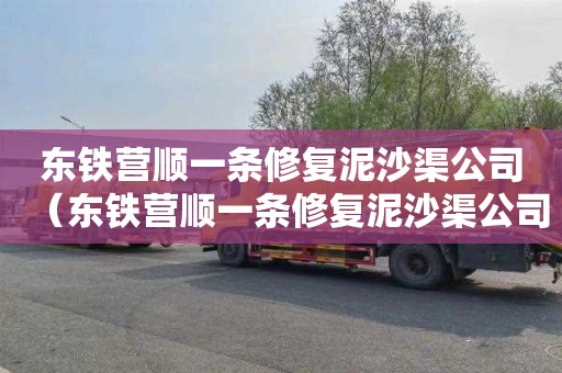 东铁营顺一条修复泥沙渠公司（东铁营顺一条修复泥沙渠公司招聘）