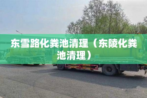 东雪路化粪池清理（东陵化粪池清理）