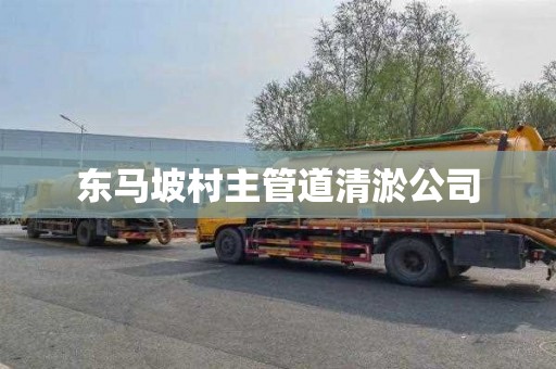 东马坡村主管道清淤公司