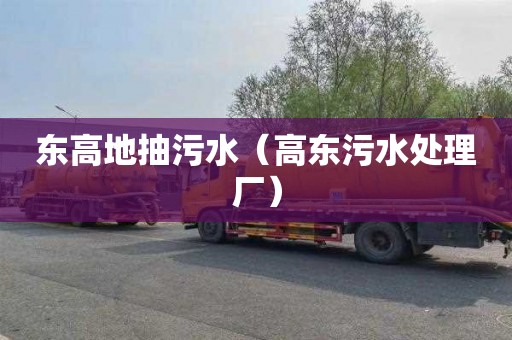 东高地抽污水（高东污水处理厂）