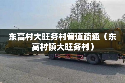 东高村大旺务村管道疏通（东高村镇大旺务村）