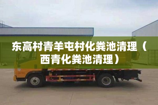 东高村青羊屯村化粪池清理（西青化粪池清理）