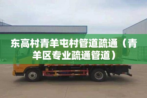 东高村青羊屯村管道疏通（青羊区专业疏通管道）