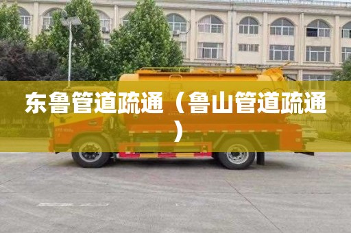 东鲁管道疏通（鲁山管道疏通）