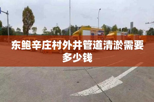 东鲍辛庄村外井管道清淤需要多少钱