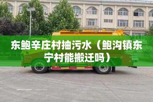 东鲍辛庄村抽污水（鲍沟镇东宁村能搬迁吗）