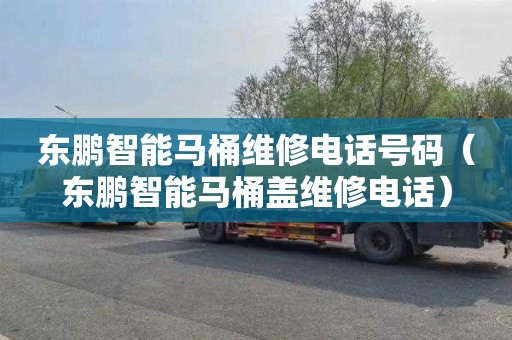 东鹏智能马桶维修电话号码（东鹏智能马桶盖维修电话）