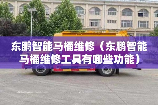 东鹏智能马桶维修（东鹏智能马桶维修工具有哪些功能）