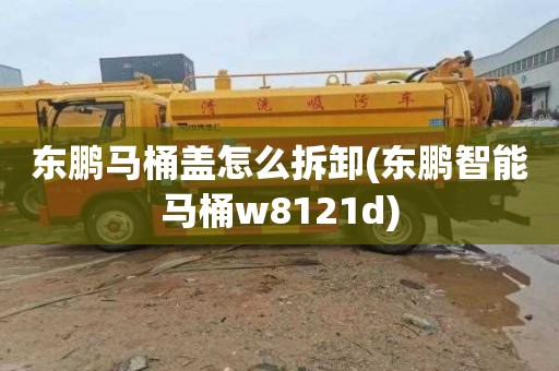 东鹏马桶盖怎么拆卸(东鹏智能马桶w8121d)