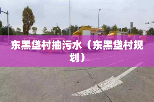 东黑垡村抽污水（东黑垡村规划）