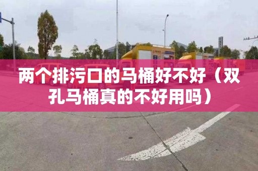 两个排污口的马桶好不好（双孔马桶真的不好用吗）