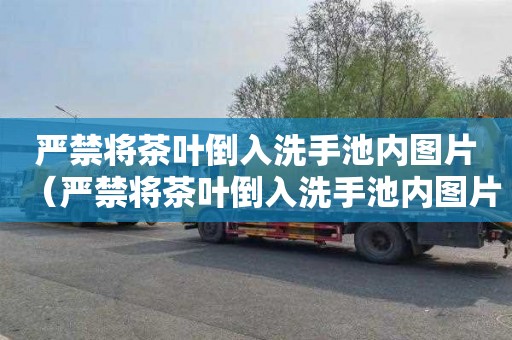 严禁将茶叶倒入洗手池内图片（严禁将茶叶倒入洗手池内图片大全）