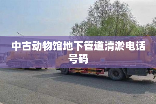 中古动物馆地下管道清淤电话号码