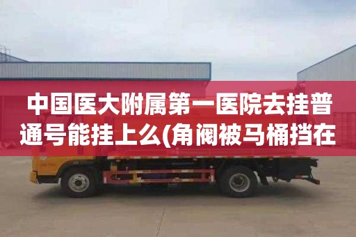 中国医大附属第一医院去挂普通号能挂上么(角阀被马桶挡在后面怎么办图片)