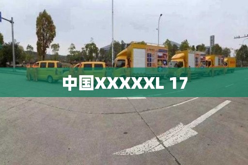 中国XXXXXL 17
