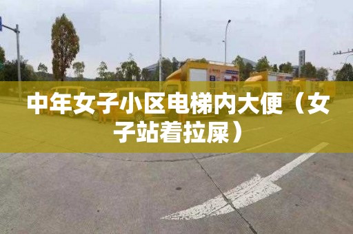 中年女子小区电梯内大便（女子站着拉屎）