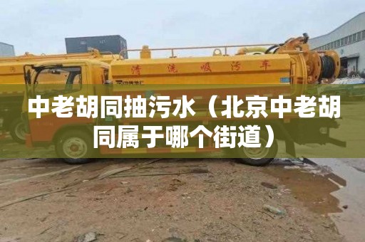 中老胡同抽污水（北京中老胡同属于哪个街道）