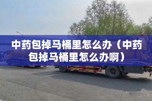 中药包掉马桶里怎么办（中药包掉马桶里怎么办啊）