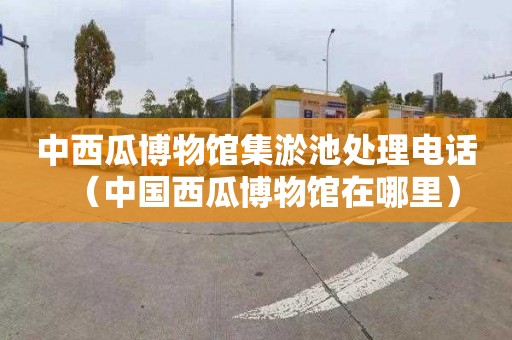 中西瓜博物馆集淤池处理电话（中国西瓜博物馆在哪里）