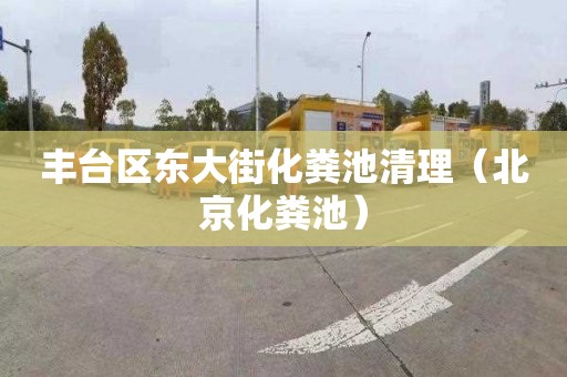 丰台区东大街化粪池清理（北京化粪池）