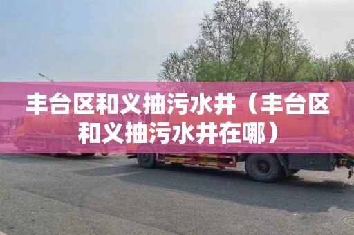 丰台区和义抽污水井（丰台区和义抽污水井在哪）