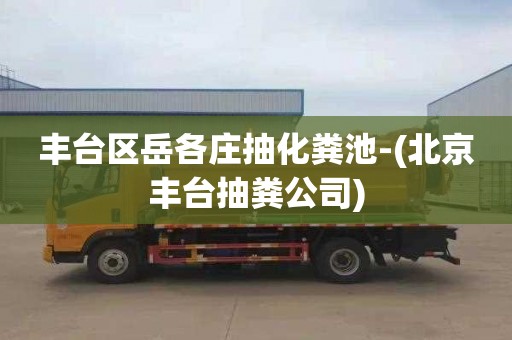 丰台区岳各庄抽化粪池-(北京丰台抽粪公司)