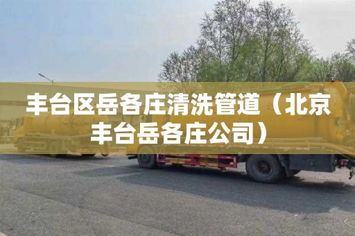 丰台区岳各庄清洗管道（北京丰台岳各庄公司）