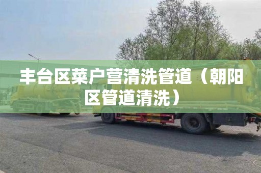 丰台区菜户营清洗管道（朝阳区管道清洗）