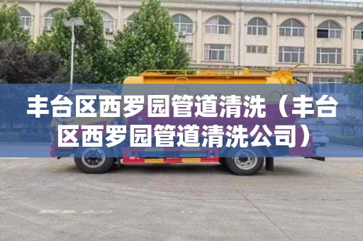 丰台区西罗园管道清洗（丰台区西罗园管道清洗公司）
