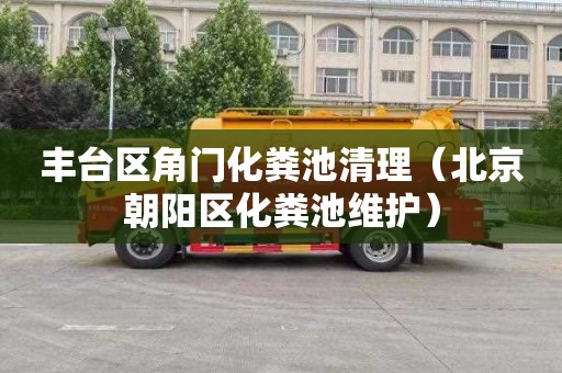 丰台区角门化粪池清理（北京朝阳区化粪池维护）