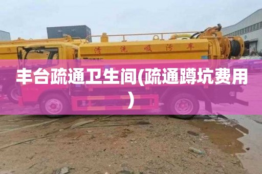 丰台疏通卫生间(疏通蹲坑费用)