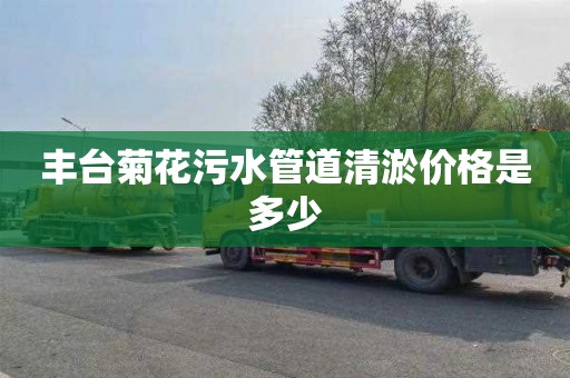 丰台菊花污水管道清淤价格是多少