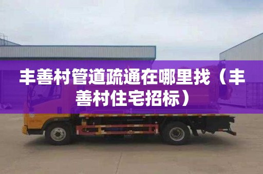 丰善村管道疏通在哪里找（丰善村住宅招标）