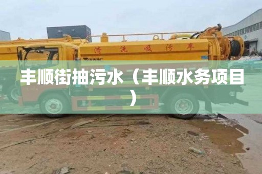 丰顺街抽污水（丰顺水务项目）