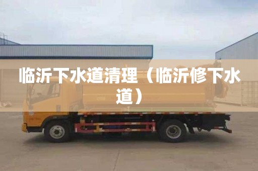 临沂下水道清理（临沂修下水道）