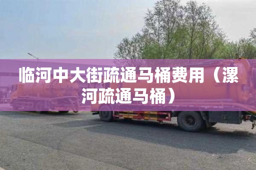临河中大街疏通马桶费用（漯河疏通马桶）