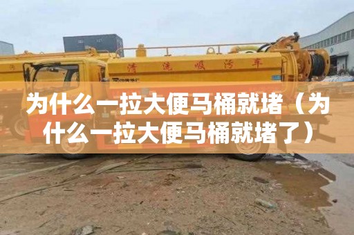 为什么一拉大便马桶就堵（为什么一拉大便马桶就堵了）