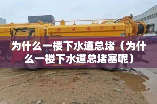 为什么一楼下水道总堵（为什么一楼下水道总堵塞呢）