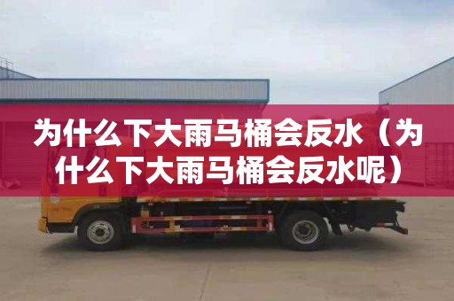 为什么下大雨马桶会反水（为什么下大雨马桶会反水呢）