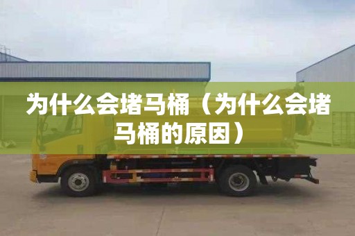 为什么会堵马桶（为什么会堵马桶的原因）