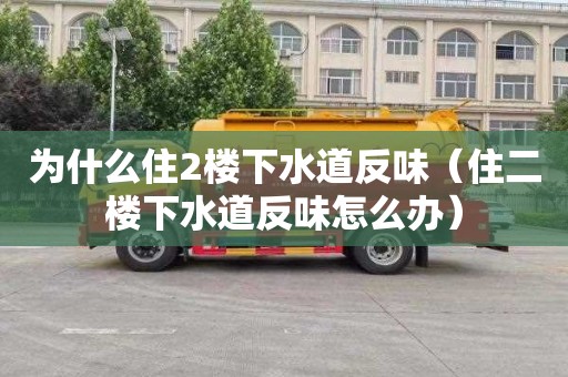 为什么住2楼下水道反味（住二楼下水道反味怎么办）