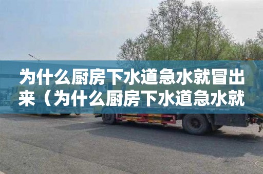 为什么厨房下水道急水就冒出来（为什么厨房下水道急水就冒出来一股臭味）