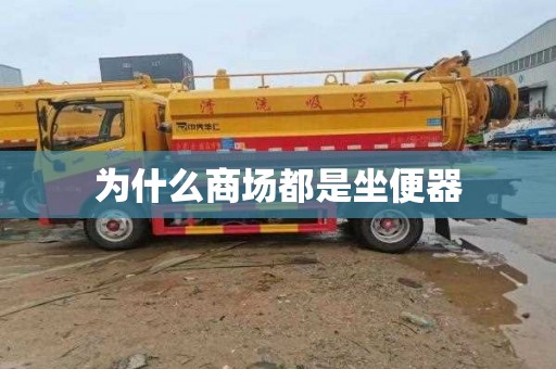 为什么商场都是坐便器