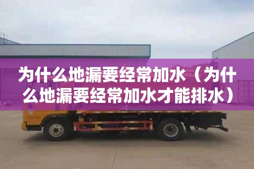 为什么地漏要经常加水（为什么地漏要经常加水才能排水）